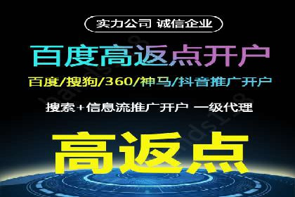 某电商企业如何通过百度竞价广告提升销售额